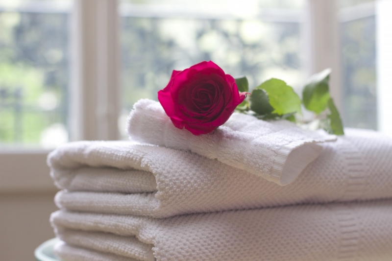 chambre-hote-BERRE LES ALPES-min_towel_rose_clean_care_salon_spa_white_bath-731641